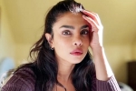 Priyanka Chopra, Priyanka Chopra statement, priyanka chopra breaks silence on don t look for virgin wife comment, Social media