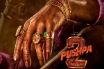 Allu Arjun, Pushpa: The Rule updates, allu arjun s dedication for pushpa the rule, Inspiration