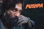 Allu Arjun news, Allu Arjun latest, pushpa to be released in two installments, Puspha