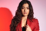 Benchmark Talents, Rashmika and Manager details, rashmika mandanna clears air, Animal film Benchmark Talents, Rashmika and Manager details, rashmika mandanna clears air, Animal film