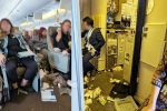 Singapore Airlines turbulence horror breaking, Singapore Airlines turbulence horror videos, one dead and 30 injured in singapore airlines turbulence horror, Singapore airlines accident