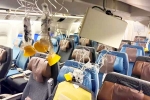 Singapore Airlines accident, Singapore Airlines turbulence horror, singapore airlines statement after turbulence horror, Singapore airlines turbulence