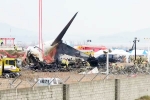 South Korea Plane Crash breaking, South Korea Plane Crash, pilot made mayday call and mentioned bird strike in south korea plane crash, Airline