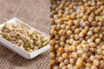 Boiled Chana, Sprouts vs Boiled Chana weight loss, sprouts vs boiled chana for weight loss, Ads Boiled Chana, Sprouts vs Boiled Chana weight loss, sprouts vs boiled chana for weight loss, Ads