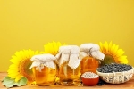 Sunflower Oil long term effects, Sunflower Oil health benefits, long term effects of consuming sunflower oil on heart health, Sci fi