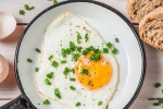 eggs, eggs, top 5 benefits of eggs that ll make you to eat them every day, World egg day
