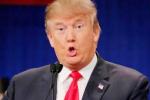 Pune, Gurgaon, donald trump s investments in india to impact us foreign policy, Indian political leaders
