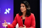 google, US presidential candidate, u s presidential candidate tulsi gabbard sues google for hindering her campaign, Elizabeth warren