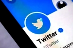 Twitter Blue Ticks latest updates, Twitter Blue Ticks news, twitter blue ticks are back, Mammootty