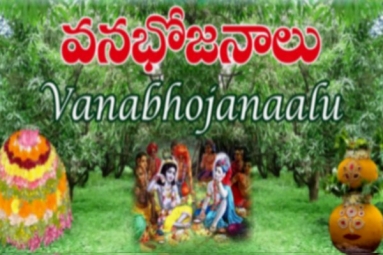 TDF Detroit - Vanabhojanalu &amp; Bonalu