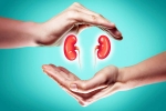 World Kidney Day 2025 to be taken, World Kidney Day 2025 food, world kidney day 2025 theme and health tips, Smoking