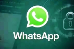 iOS Testing Multi-Account Support for WhatsApp breaking, iOS Testing Multi-Account Support for WhatsApp, whatsapp for ios testing multi account support, Whatsapp for ios