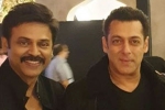 Salman Khan, venkatesh daughter marriage, watch salman khan shake legs with venkatesh at his daughter aashritha daggubati s wedding, Bollywood star salman khan