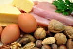 protein, cells, why protein is an important part of your healthy diet, Myths