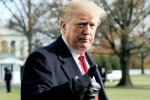 Trump, cohen, former u s senators warn of constitutional crisis under trump, Playboy