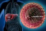 Hepatitis C, Hepatitis C, good news india may soon get treatment for hepatitis c, Gilead sciences