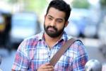 Kalyanram, NTR next film, official ntr s next film locked, Sardar gabbar singh