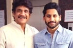 Nagarjuna breaking news, Nagarjuna about Samantha divorce, nagarjuna s clarification on naga chaitanya s divorce, Nagarjuna akkineni Nagarjuna breaking news, Nagarjuna about Samantha divorce, nagarjuna s clarification on naga chaitanya s divorce, Nagarjuna akkineni