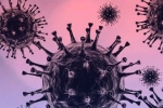 Omicron side effects, Omicron, south african scientists about omicron variant, Communicable diseases